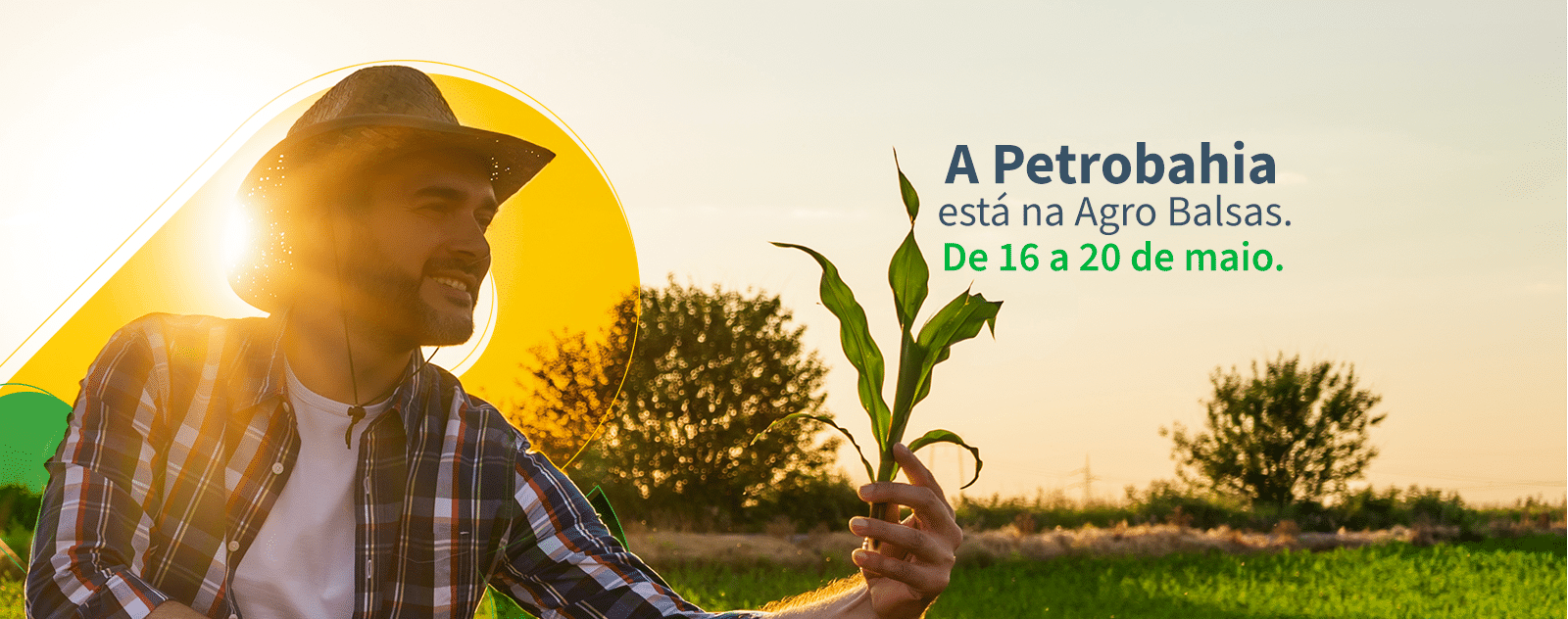 Petrobahia_agrobalsas_banner site_1366x540px